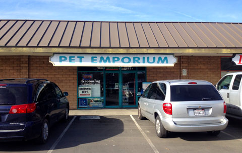 The Pet Emporium